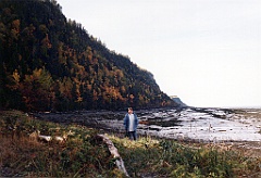 1998 - Canada 38 (Québec - Parc du Bic, Bas Saint Laurent - Vers la Gaspésie)
